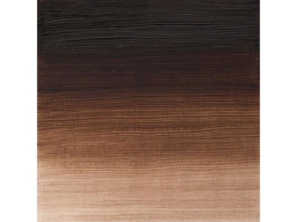 Winton oil 37 ml vandyke brown 676