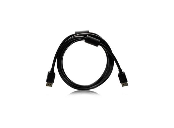 Eizo PP200-K - DisplayPort-kabel - DisplayPort (hann) til DisplayPort (hann) - 2 m - 4K-støtte - svart