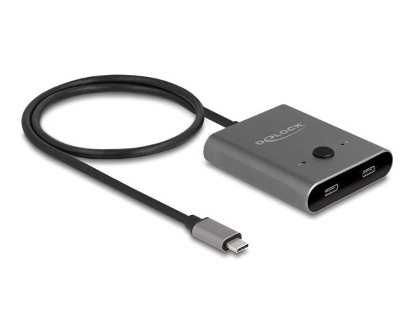 Delock Switch 2 to 1 - Hub - toveis, 8K, 10 Gbps - 2 x USB-C (Power Delivery) - stasjonær