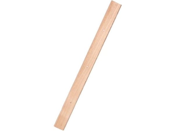 Galax asfaltragerblad, asketræ - 80 cm
