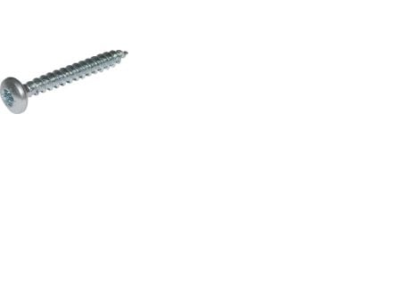 Spån-/spårskruv 4x12 mm panhuvud Torx® 20 skåra elförzinkad (500 st.)