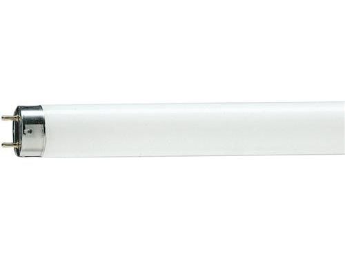 PHILIPS Loisteputki T8 30W 79 G13 MASTER TL-D teurastusputki, jota käytetään esimerkiksi jääkaapeissa