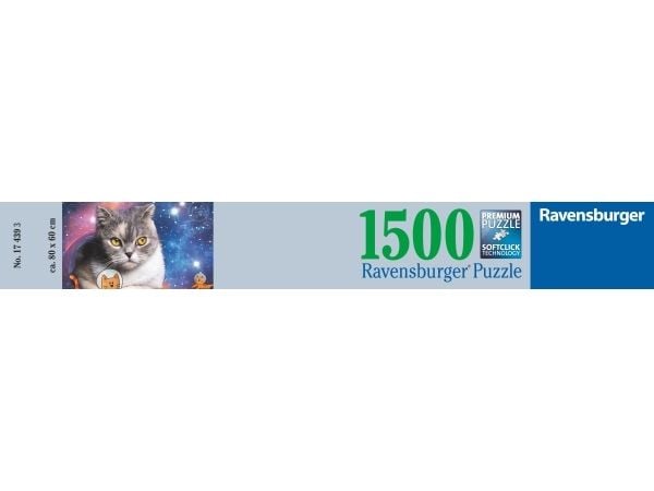 Cats In Space 1500p