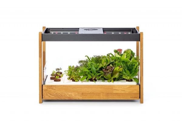 Click and Grow 25 - Vit