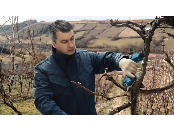 Bosch BOSCH.SEKATOR 12V 25mm PRO PRUNER SOLO B06019K1020 B06019K1020 - SOLO