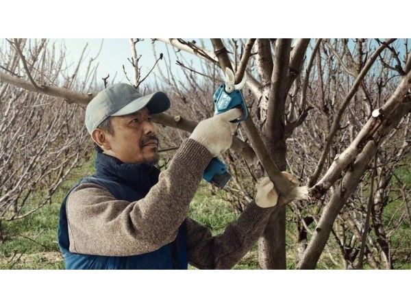 Bosch BOSCH.SEKATOR 12V 25mm PRO PRUNER SOLO B06019K1020 B06019K1020 - SOLO