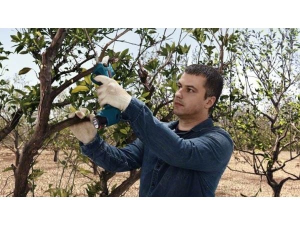Bosch Pro Pruner Professional, 2,5 cm, Sort, Blå, Boks, Lithium-Ion (Li-Ion), 12 V, 110 mm