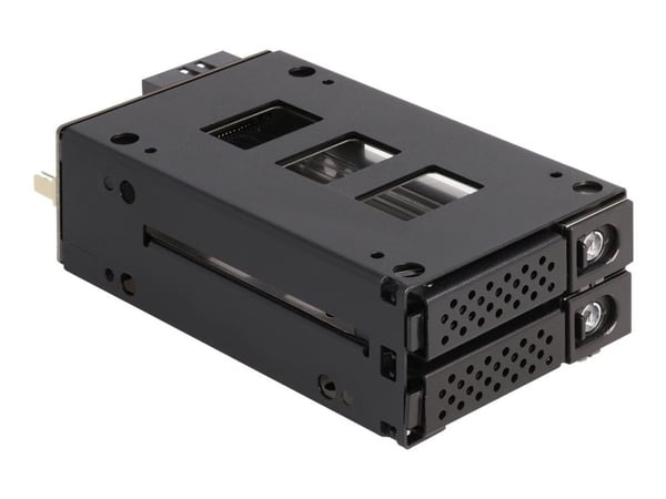 Delock Slim Bay irrotettava kehys 2 x 2,5" U.2 NVMe SSD:lle 5,25" kehyksellä varustettuna