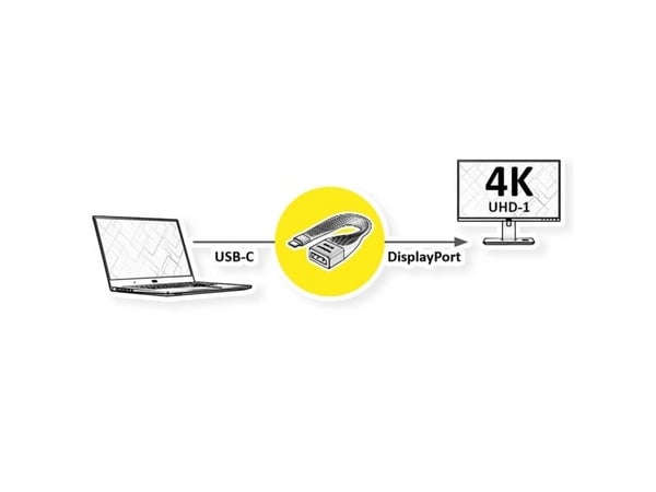 ROLINE 12033240, 0,13 m, USB Type-C, DisplayPort, Hanstik, Hunstik, Lige