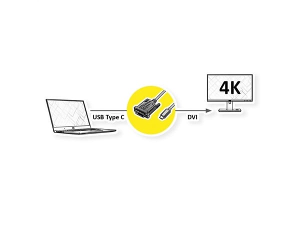 ROLINE 11045831, 2 m, DVI-D, USB Type-C, urosliitin, urosliitin, suora, suora