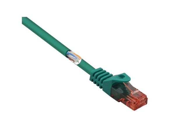 Renkforce RF-5153666, 3 m, Cat6, U/UTP (UTP), RJ-45, RJ-45
