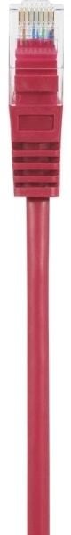 Renkforce RF-5043840, 1 m, Cat5e, U/UTP (UTP), RJ-45, RJ-45
