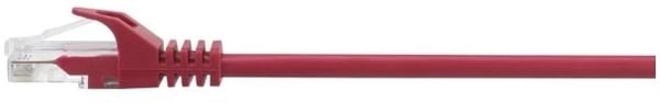Renkforce RF-5043840, 1 m, Cat5e, U/UTP (UTP), RJ-45, RJ-45