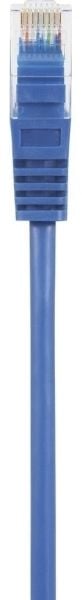 Renkforce RF-5044022, 2 m, Cat5e, U/UTP (UTP), RJ-45, RJ-45