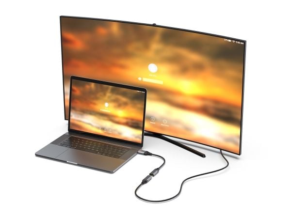 Equip 133445, 0,15 m, DisplayPort, HDMI, Hankjønn, Hunkjønn, Rett