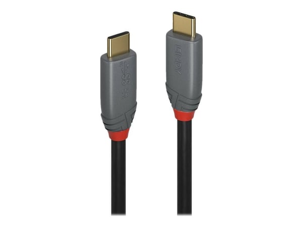 Lindy Anthra Line - USB-kabel - USB-C (hann) til USB-C (hann) - USB 3.2 Gen 2x2 - 1 m - rund - svart