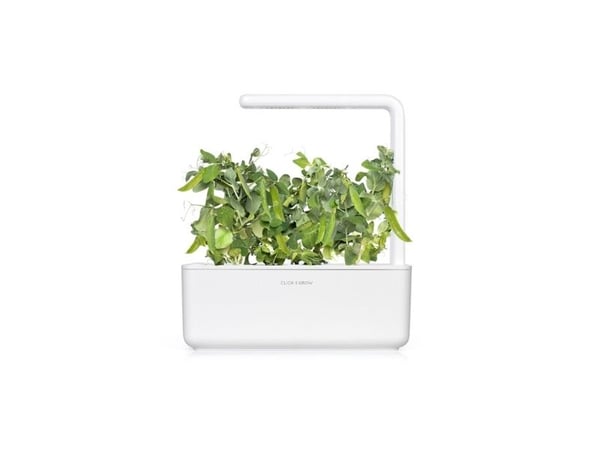 Click & Grow SGR54x3, Syötävä kasvi, Täyttöpakkaus, Kasvaa nopeasti (3–5 viikkoa), 7 - 14 päivää, 2 kuukautta, 18 - 24 °C