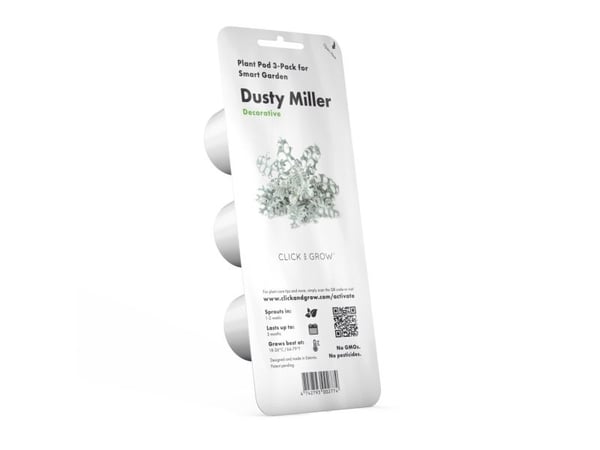 Click & Grow siemenet smart pottiin - Dusty Miller, 3 kpl.