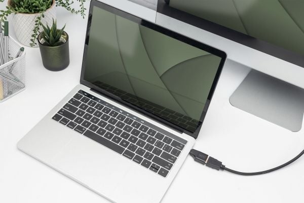 DIGITUS - Video/audio-adapter - USB-C hann til HDMI hunn - svart - 4 K 30 Hz (3840 x 2160) støtte