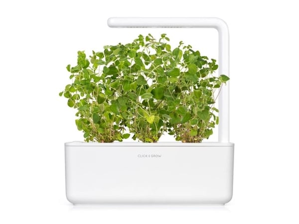 Click and Grow - Smart Garden 3 kpl - Oregano siemenet
