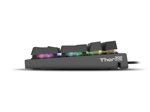 GENESIS THOR 300, Koblet med ledninger (ikke trådløs), USB, Mekanisk nøkkelbryter, QWERTY, RGB LED, Svart