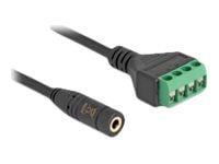 Delock - Audioadapter - minijakk (hunn) til 4-pins terminalblokk - 20 cm - 2,54 mm stigning - svart
