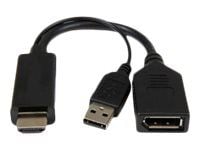 TECHly - Videokabel - HDMI, USB (kun strøm) hann til DisplayPort hunn - svart - 4K-støtte