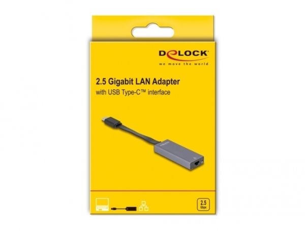DeLOCK 66248, RJ-45, USB C, 0,09 m, Harmaa