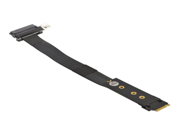 Delock - Grensesnittsadapter - U.2 NVMe - M.2 Card
