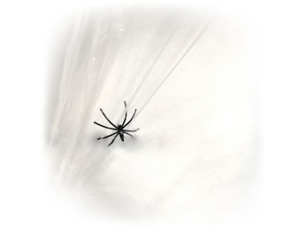Halloween hämähäkinverkot, valkoinen (20g)
