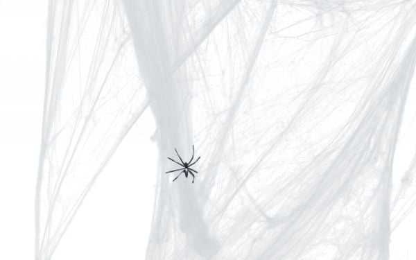 Halloween hämähäkinverkot, valkoinen (20g)