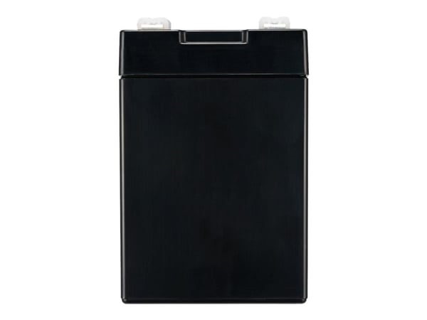APC Replacement Battery Cartridge #175 - UPS-batteri (tilsvarer: APC RBC175) - 1 x batteri - blysyre - svart