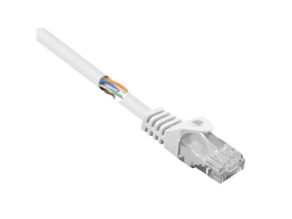 Renkforce RF-5043778, 5 m, Cat5e, U/UTP (UTP), RJ-45, RJ-45, Hvit