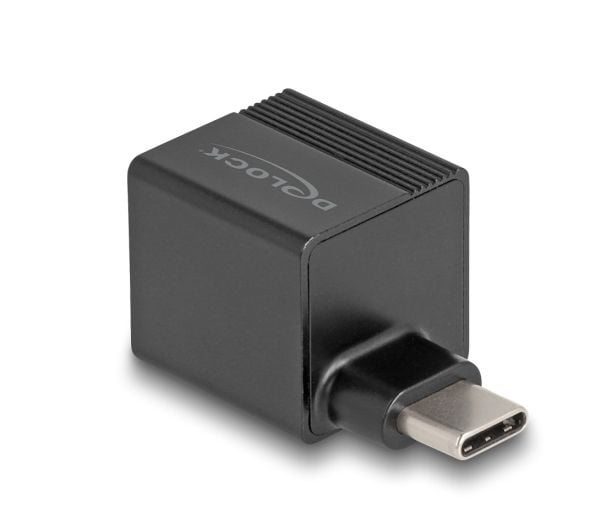 Delock Adapter til Gigabit LAN mini - Nettverksadapter - USB-C - Gigabit Ethernet x 1 - Svart (66462)