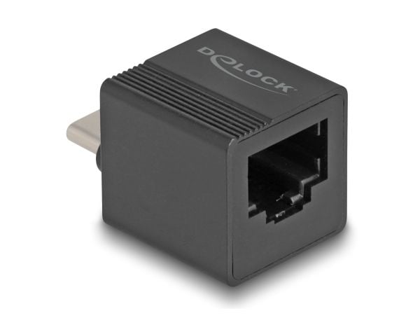 Delock Adapter til Gigabit LAN mini - Nettverksadapter - USB-C - Gigabit Ethernet x 1 - Svart (66462)