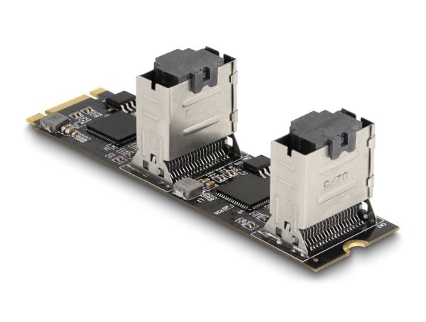 Delock Converter M.2 2280 Key B+M hann til 8 x SATA