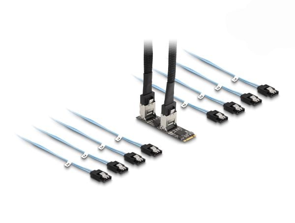 Delock Converter M.2 2280 Key B+M hann til 8 x SATA