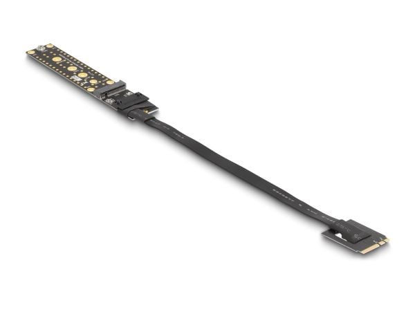 Delock riser-kort NVMe M.2 Key A+E-kontakt till Key M-kortplats med 20 cm kabel