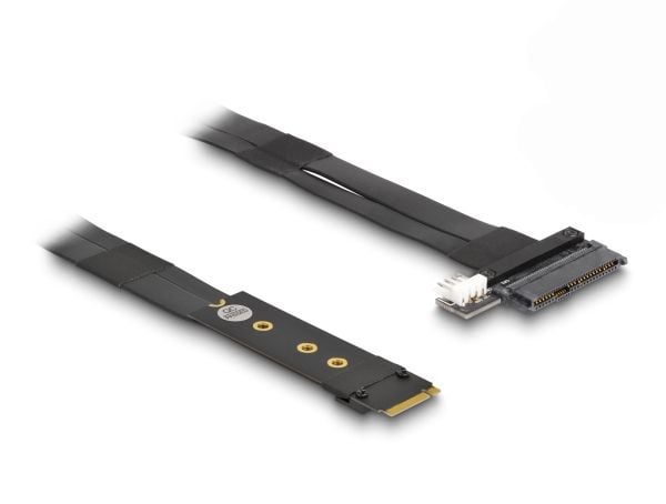 Delock - Grensesnittsadapter - U.2 NVMe - M.2 Card