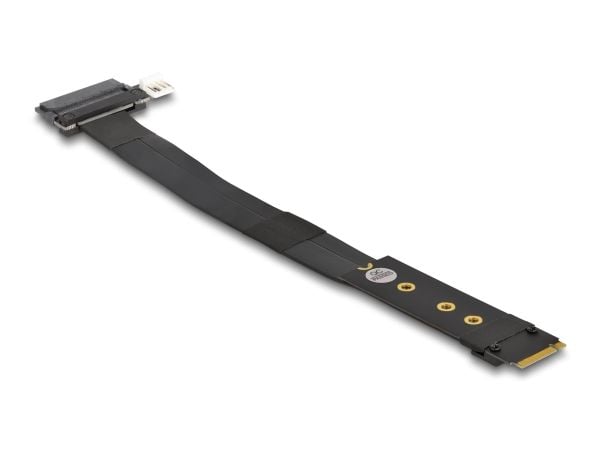 Delock - Grensesnittsadapter - U.2 NVMe - M.2 Card