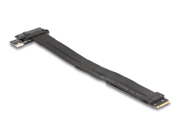 Delock - Grensesnittsadapter - U.2 NVMe - M.2 Card