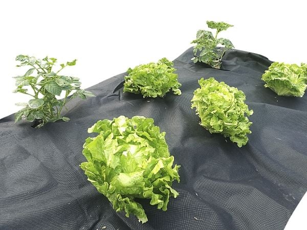 Home>It/Green>It - Ukruddsdug 80 g/m² - 10 meter