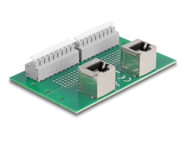 Delock - Nettverksadapter - RJ-45 (hunn) vinklet til 9-pins terminalblokk - DIN-rail mountable, trykknapp, 3,81 mm stigning, stifttilordning: 1:1