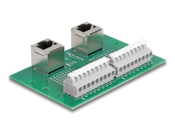 Delock - Nettverksadapter - RJ-45 (hunn) vinklet til 9-pins terminalblokk - DIN-rail mountable, trykknapp, 3,81 mm stigning, stifttilordning: 1:1