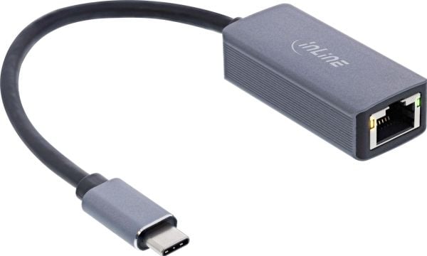 InLine 33380M, USB Type-C, RJ-45, Hankjønn, Grå, Realtek RTL8156, Hankjønn