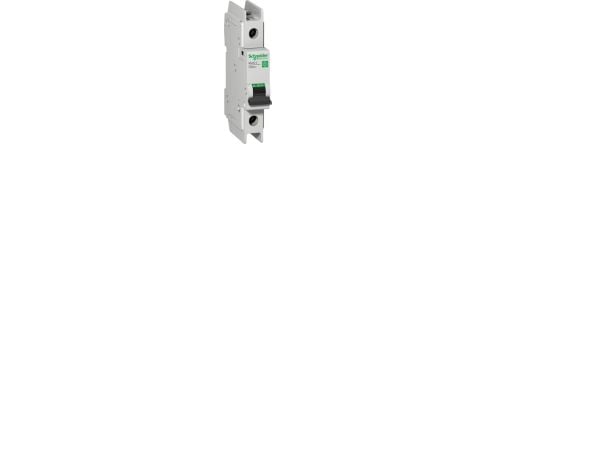 Schneider Electric C60BP, 3000 A, IP20