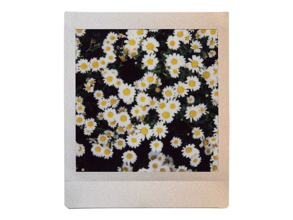 Fujifilm Instax Square Sunset - Hurtigvirkende fargefilm - instax square - ISO 800 - 10 eksponeringer