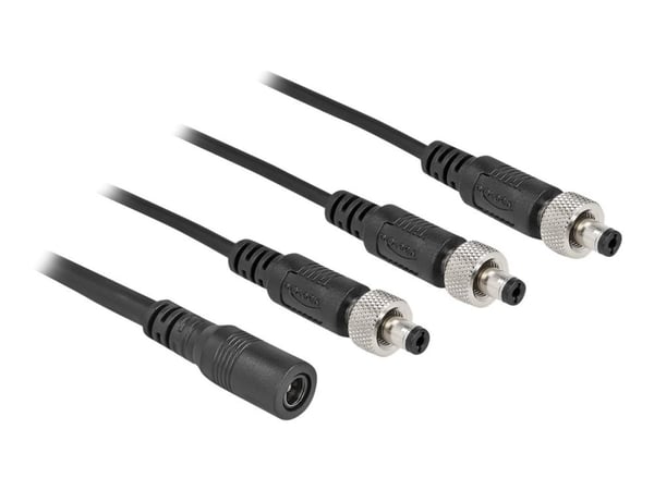 Delock - Strøm-splitter - DC jackstik 5,5 x 2,1 mm (hun) til DC jackstik 5,5 x 2,1 mm (han) - 30 V - 2 A - 50 cm - lajittelu