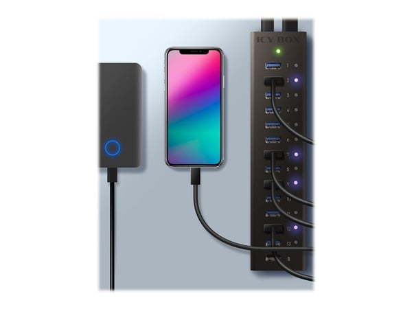 ICY BOX IB-AC6113 - Hub - 13 x SuperSpeed USB 3.0 - stasjonær