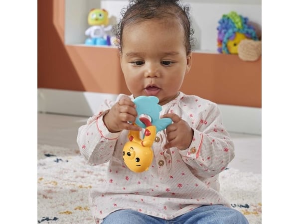 Fisher-Price Fisher-Pricen eläinaiheinen vauvanlelukokoelma, helistin, purulelu ja naksuva lelu vastasyntyneille, Poika/tyttö, 3 kuukautta, Tuottaa...